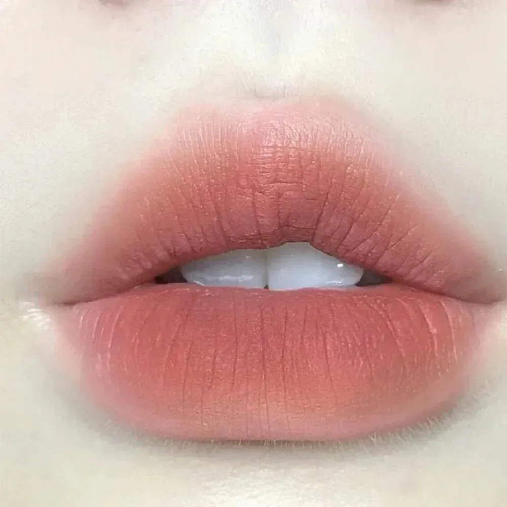 Toleet-Christmas/Thanksgiving Gift Winter Makeup Ideas 6 Color Brown Pink Lip Glaze Matte Liquid Lipstick Peach Pink Waterproof Velvet Nude Red Lip Mud Cheek Rouge Tint Cosmetics