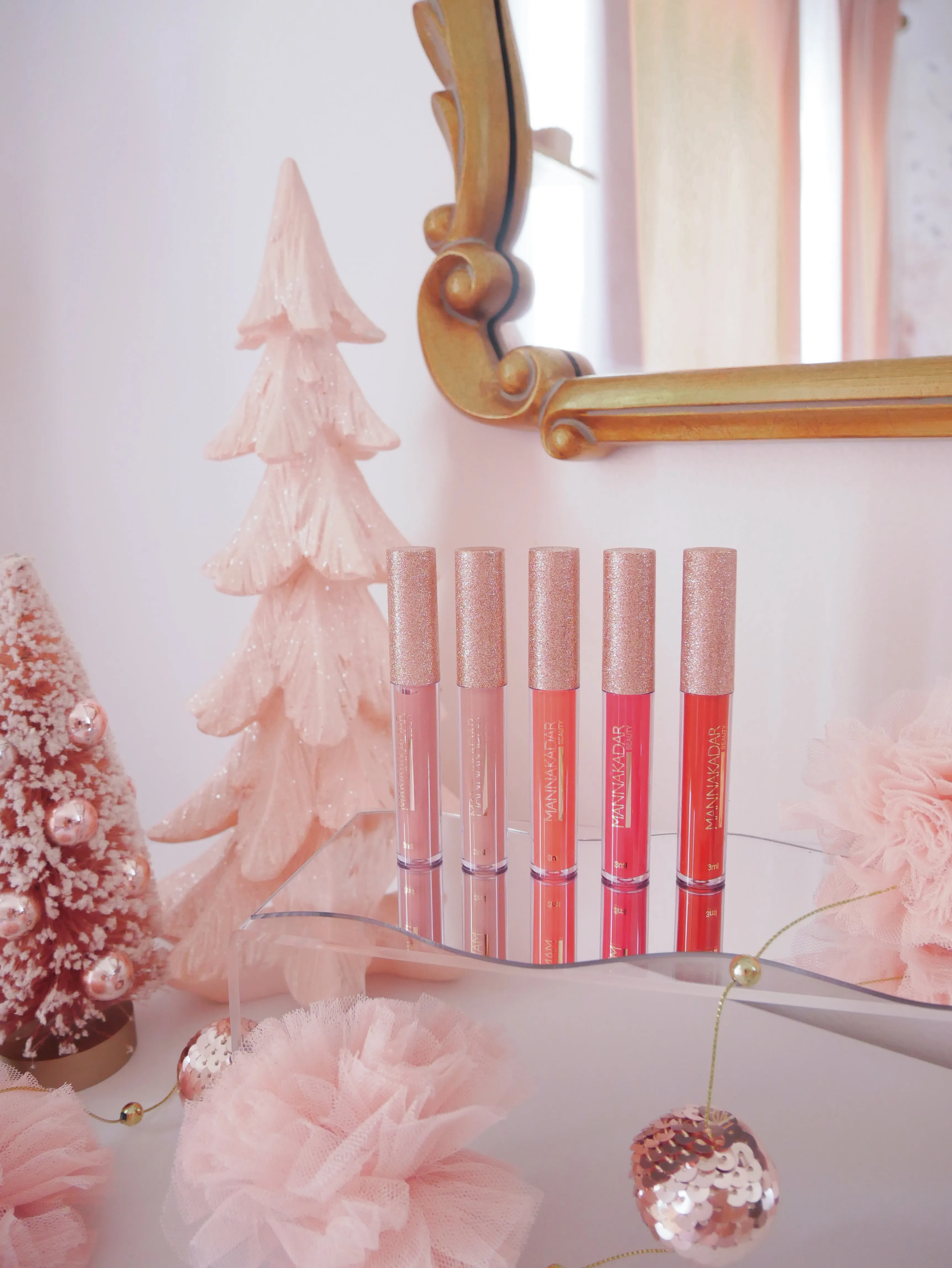 Wish List - Lip Gloss (5pc)